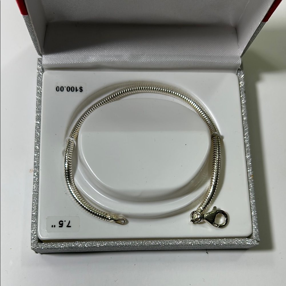 Silver Mesh Snake Chain Bracelet 75$